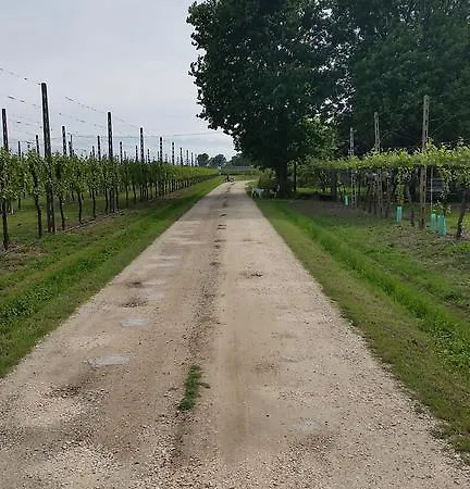 Bed and breakfast La Palazza