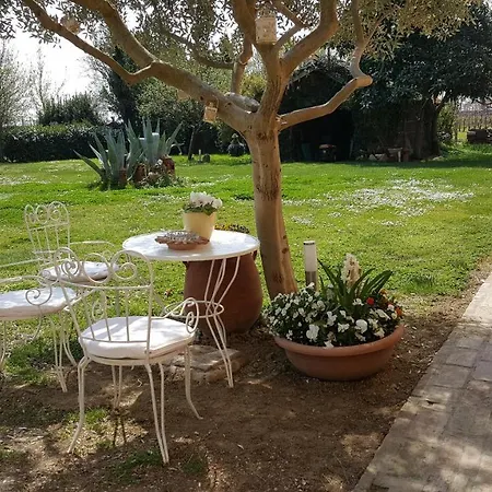 La Palazza ルッシ