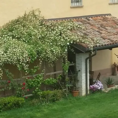 La Palazza