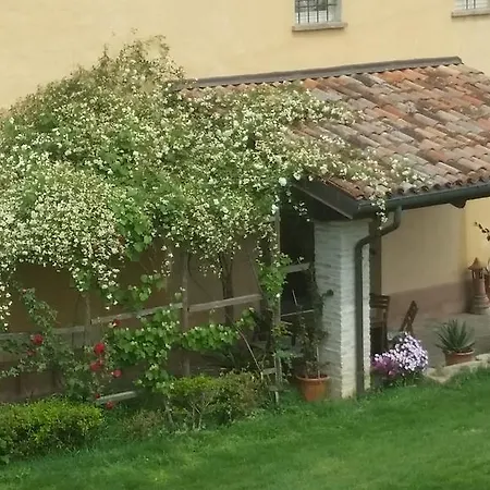 La Palazza