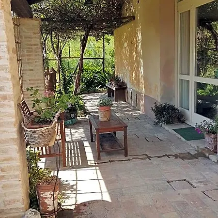 La Palazza ルッシ