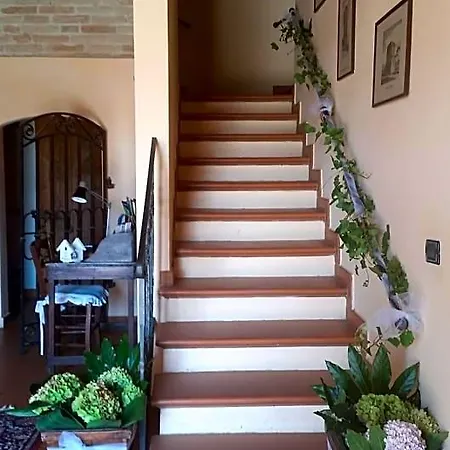 La Palazza ルッシ