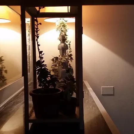 La Palazza Bed & Breakfast Russi