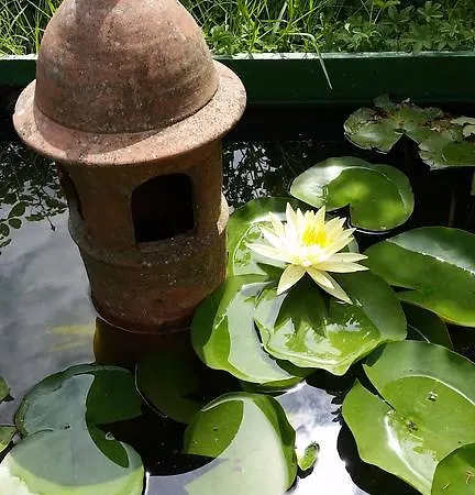 ベッド・アンド・ブレックファスト La Palazza 3*