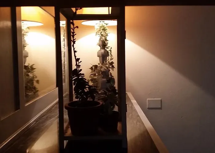 La Palazza Alojamento de Acomodação e Pequeno-almoço Russi