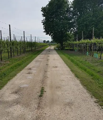 Oda ve Kahvaltı La Palazza