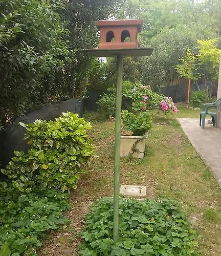 Oda ve Kahvaltı La Palazza 3*