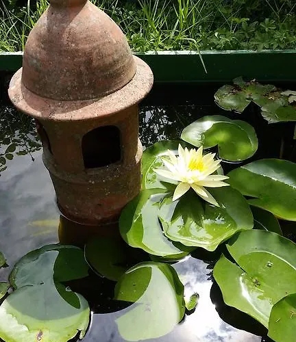 Oda ve Kahvaltı La Palazza 3*